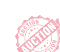 auction icon